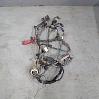 Проводка (двигатель) V1,6 (S6D) (МКПП)
